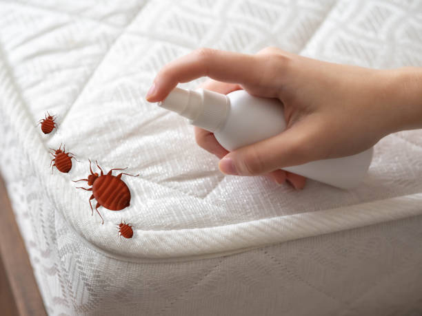 Best Residential Pest Control  in Thorntown, IN