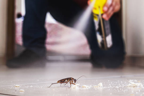 Best Residential Pest Control  in Thorntown, IN