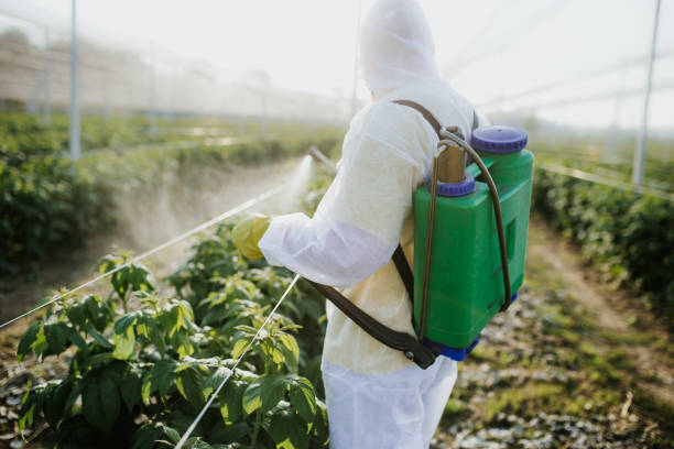 Best Best Pest Control Companies  in Thorntown, IN